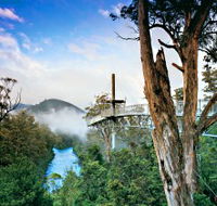 Tahune Adventures Tasmania - SA Accommodation