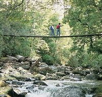 Arve Forest Drive - SA Accommodation