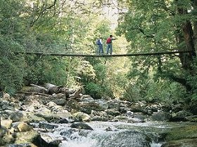 Arve Forest Drive - SA Accommodation 0