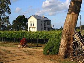 Highbank Vineyards - SA Accommodation 0