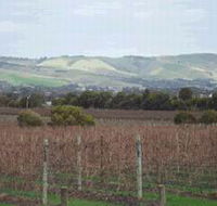 Mclaren Vale Premium Wines - SA Accommodation