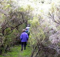 Jack And Hilda McArthur Walk - SA Accommodation
