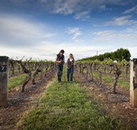 Coonawarra Wineries Walking Trail - SA Accommodation