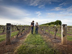 Coonawarra Wineries Walking Trail - SA Accommodation 0