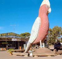 The Big Galah - SA Accommodation