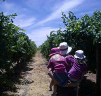 McLaren Vale Orchards - SA Accommodation
