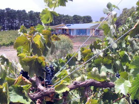 Willunga South SA SA Accommodation
