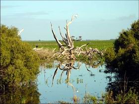 Bool Lagoon Game Reserve And Hacks Lagoon Conservation Park - SA Accommodation 0