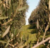 Evilo Estate - SA Accommodation