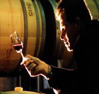 Salena Estate Wines - SA Accommodation