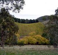 Mt Bera Vineyards - SA Accommodation