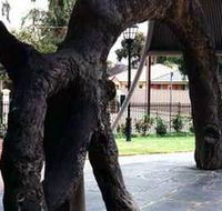 Old Gum Tree - SA Accommodation