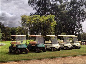 Loxton Golf Club - SA Accommodation 0