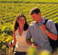 Tinlins Wines Pty Ltd - SA Accommodation