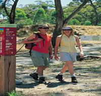 Riesling Trail - SA Accommodation