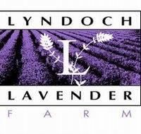 Lyndoch Lavender Farm and Cafe - SA Accommodation