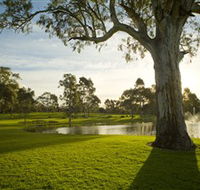 Serafino Wines - SA Accommodation