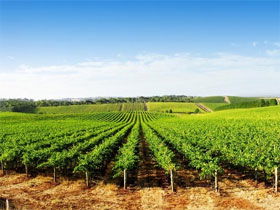 Aldinga SA SA Accommodation