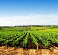 Aldinga Bay Winery - SA Accommodation