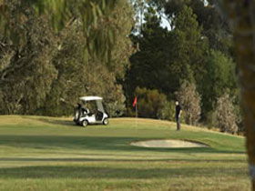 Barossa Valley Golf Club Incorporated - SA Accommodation 0