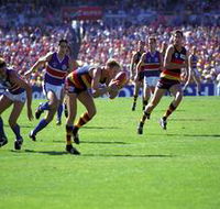AAMI Stadium Tours - SA Accommodation