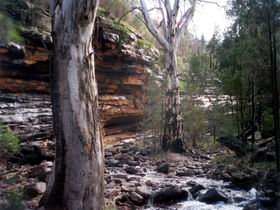 Mambray Creek SA SA Accommodation