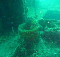 Wallaroo Scuba Club - SA Accommodation