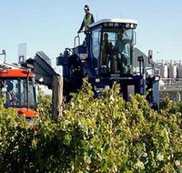 Ballast Stone Estate Wines Pty Ltd - SA Accommodation