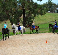 Megan Jones Riding School and Trail Rides - SA Accommodation