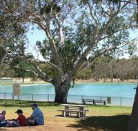 Naracoorte Nature Park and Swimming Lake - SA Accommodation