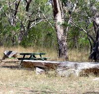 Penola Conservation Park - SA Accommodation