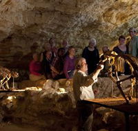 Naracoorte Caves National Park - SA Accommodation