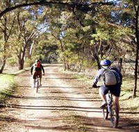 Bike About Mountain Bike Tours And Hire - SA Accommodation