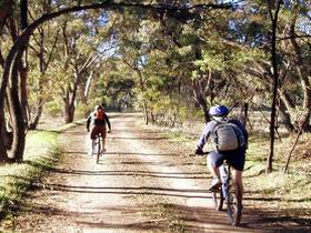 Bike About Mountain Bike Tours And Hire - SA Accommodation 0