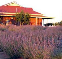 Bella Lavender Estate - SA Accommodation