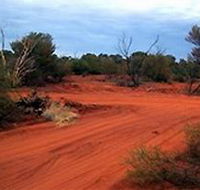 Tallaringa Conservation Park - SA Accommodation