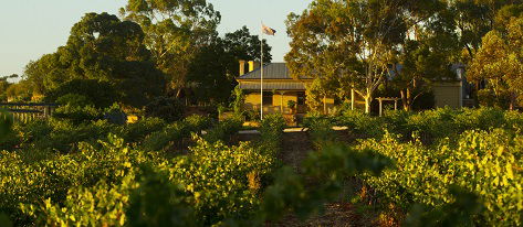 Greenock Creek Wines - SA Accommodation 2