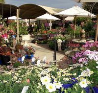 Serenity Nursery - SA Accommodation