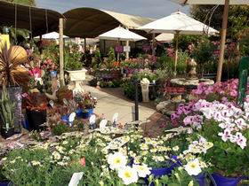 Serenity Nursery - SA Accommodation 0