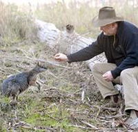 Sinclair's Gully - SA Accommodation