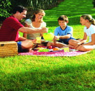 Bruny Island Berry Farm - SA Accommodation