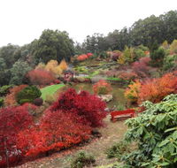 Emu Valley Rhododendron Garden - SA Accommodation
