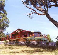 Barringwood Park Vineyard - SA Accommodation
