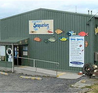 Stanley Seaquarium - SA Accommodation