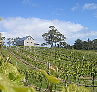 Bruny Island Premium Wines Bar and Grill - SA Accommodation