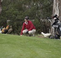 Tasmania Golf Club - The - SA Accommodation