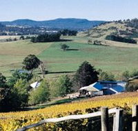 Freycinet Vineyards Pty Ltd - SA Accommodation