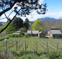 Wilmot Hills Vineyard - SA Accommodation