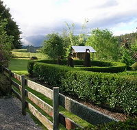 Wychwood Garden  Nursery - SA Accommodation