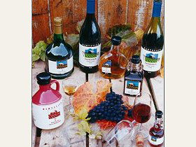Hartzview Vineyard - SA Accommodation 0